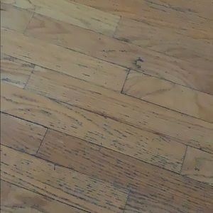 Meet your Posher, Dan